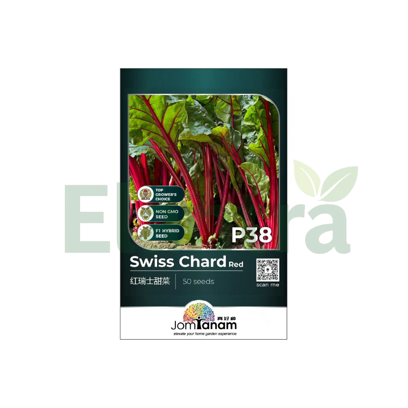 P38 SWISS CHARD RED